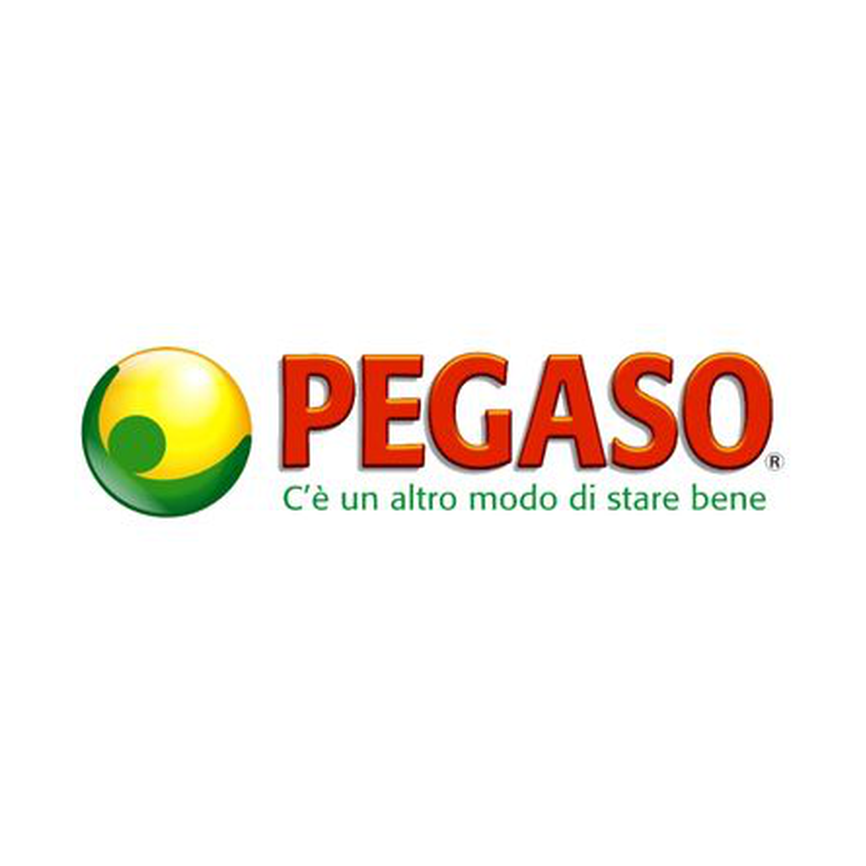 PEGASO