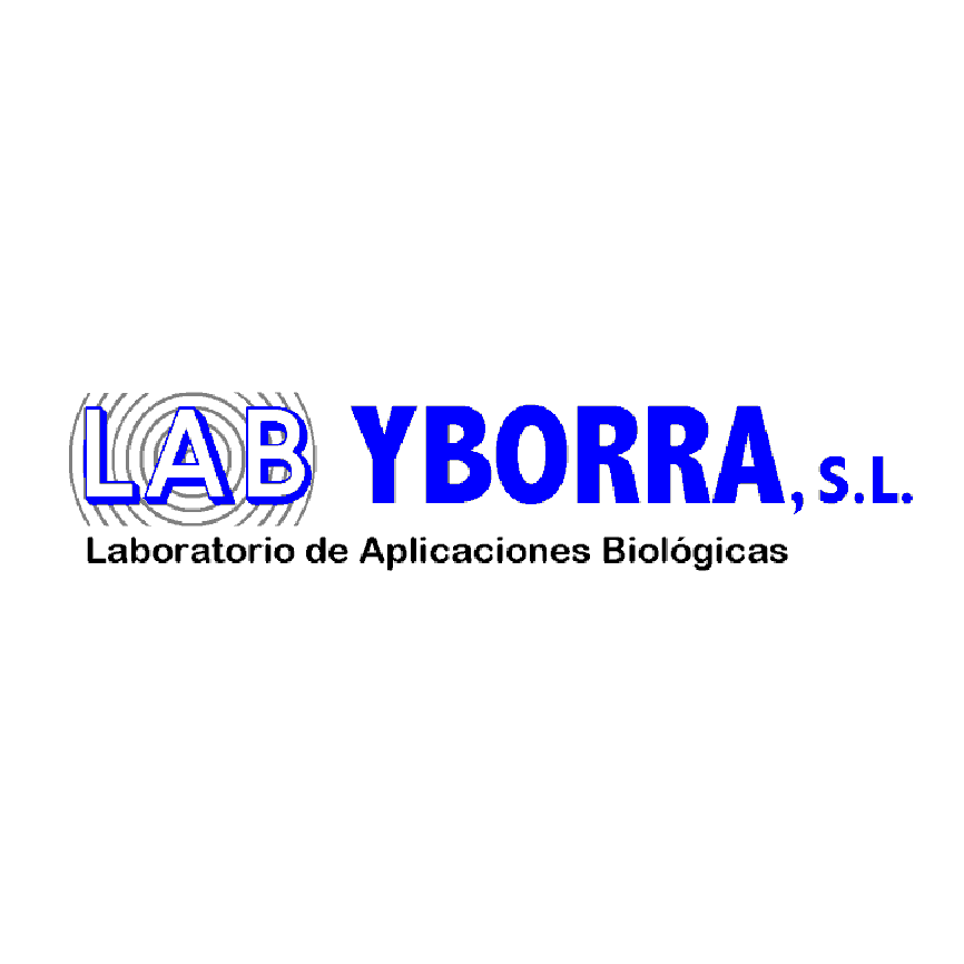 YBORRA