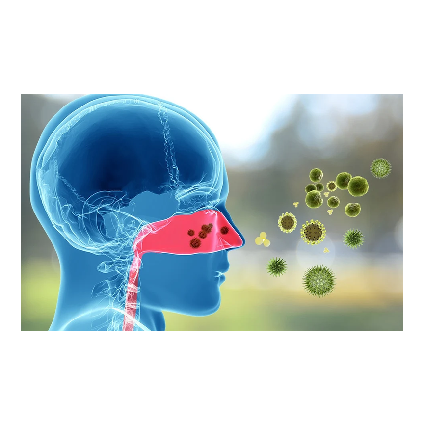 ALERGIAS