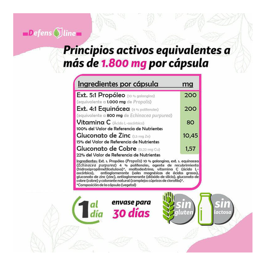 ECHINAPRO 30 caps. PINISAN