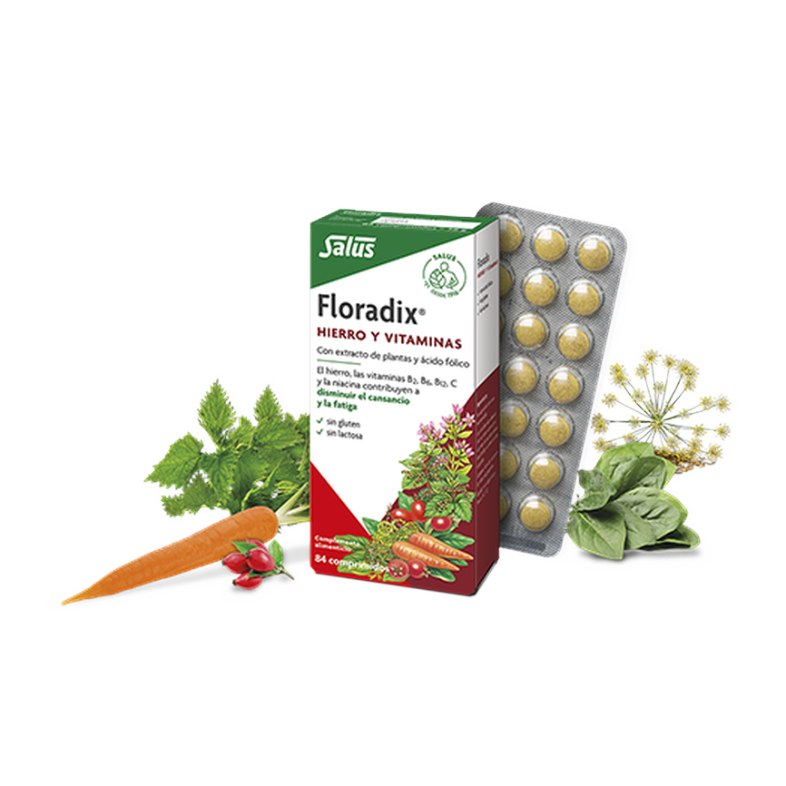 FLORADIX HIERRO 84comp. SALUS