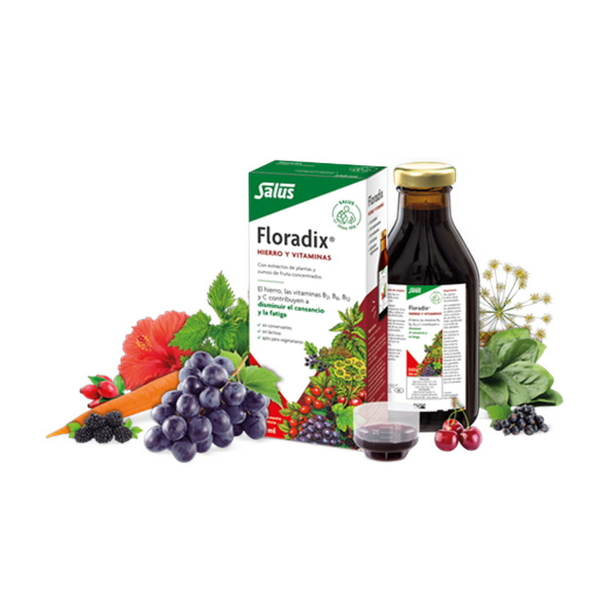FLORADIX HIERRO 500ml. SALUS