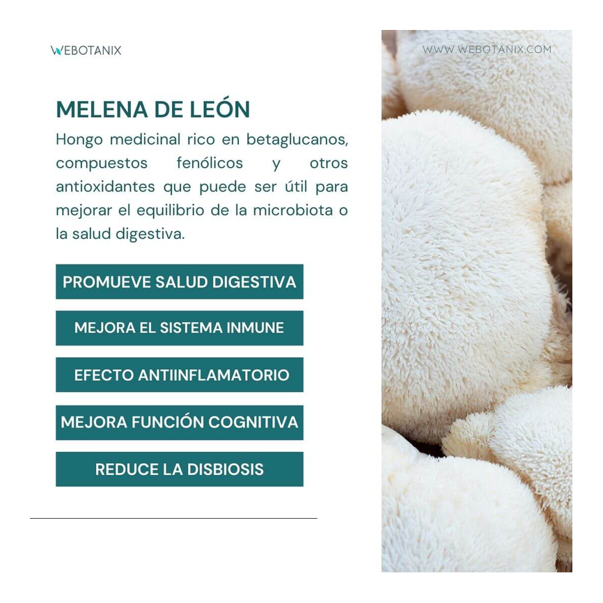 PROBIOTAX MICROBIOTA 60caps. WEBOTANIX
