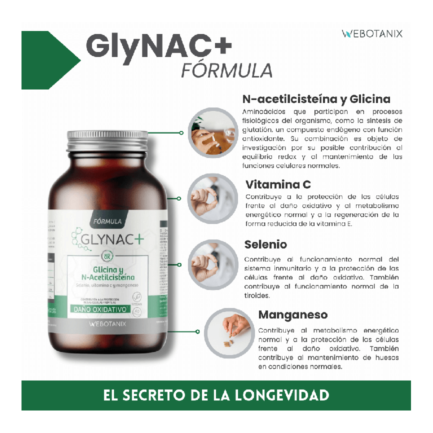 GlyNAC Fórmula 60 caps. WEBOTANIX